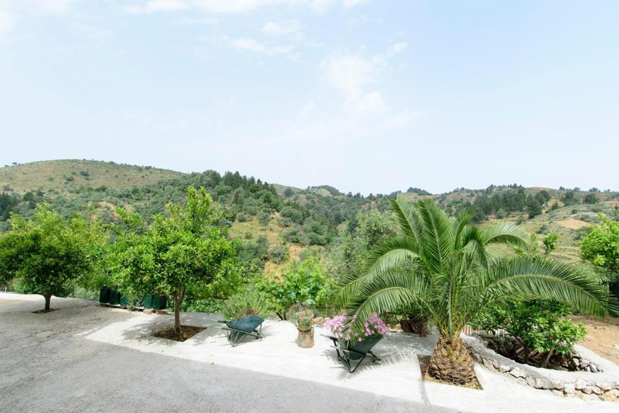 Aoria Traditional House With Stuning Mountain View Loulos Εξωτερικό φωτογραφία
